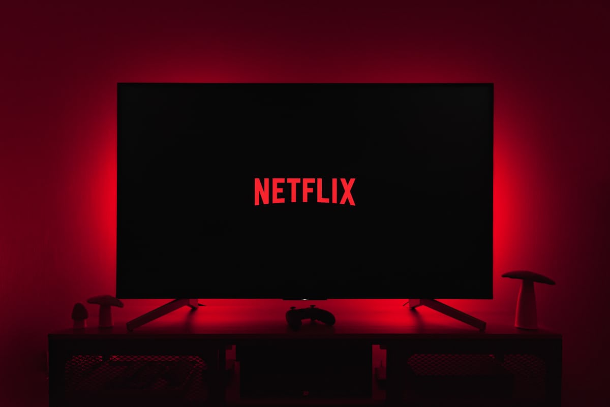 98net官方網站最新版本